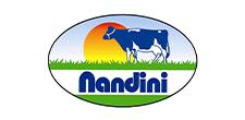 Nandini